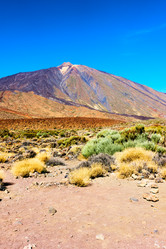 Similar image 21529819