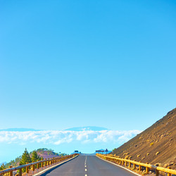 Similar image 21529821