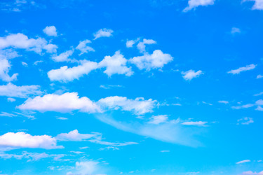 Similar image 21529825