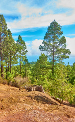 Similar image 21529826