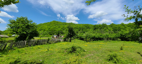 Similar image 21526734