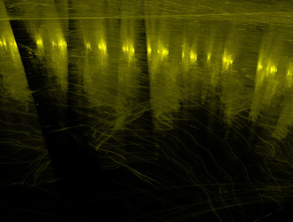 Similar image 21530064