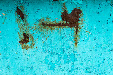 Similar image 21528256