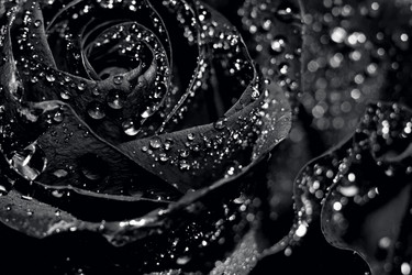 Similar image 21528257