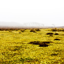 Similar image 21526628