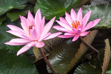 Similar image 21526649