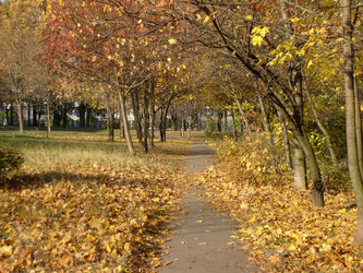 Similar image 21526875