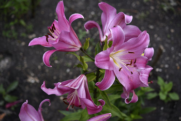 Similar image 21526878