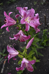 Similar image 21526880