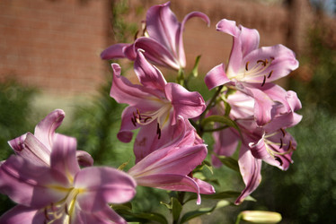 Similar image 21526881