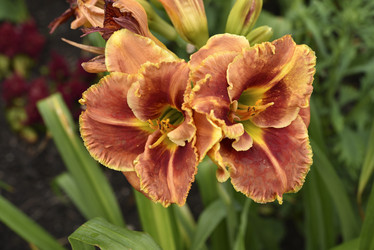 Similar image 21526882