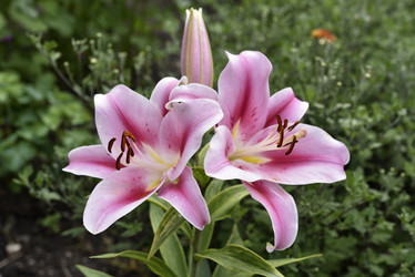 Similar image 21526885