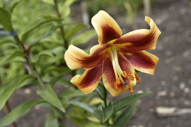 Similar image 21526888