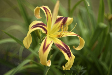 Similar image 21526892