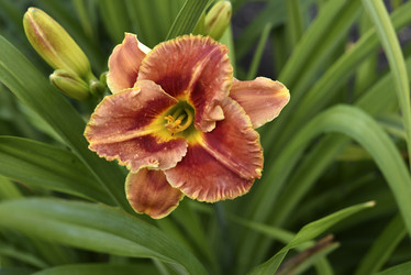 Similar image 21526992