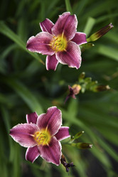 Similar image 21526993