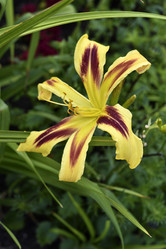 Similar image 21526995