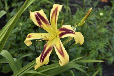 Similar image 21526996