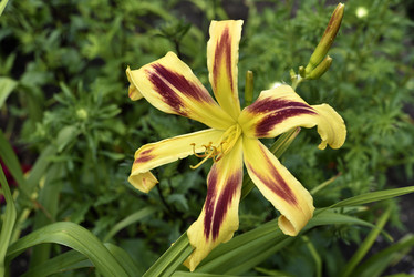 Similar image 21526997