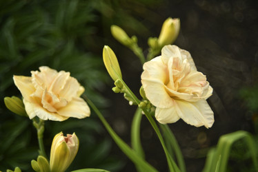 Similar image 21526998