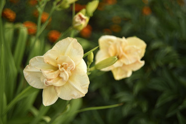 Similar image 21526999