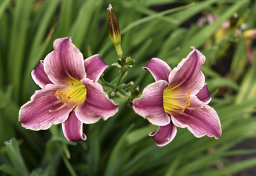 Similar image 21527000