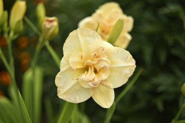 Similar image 21527001