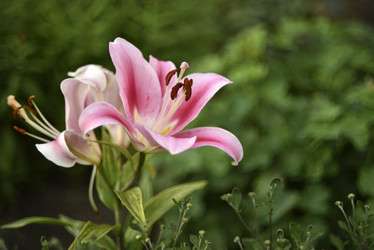 Similar image 21527002