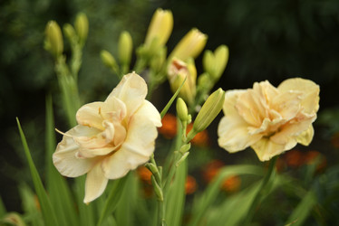 Similar image 21527003