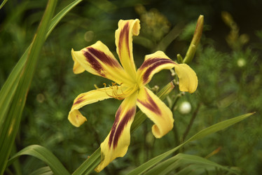 Similar image 21527004