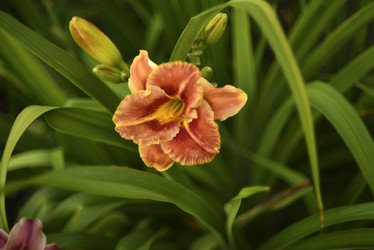 Similar image 21527005