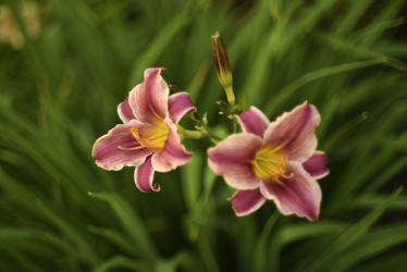 Similar image 21527007