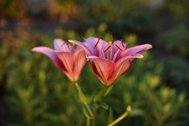 Similar image 21527121