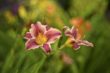 Similar image 21527122