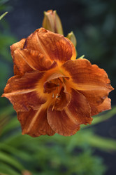 Similar image 21527128