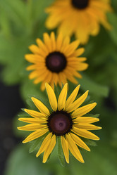 Similar image 21526908