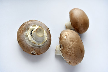 Similar image 21526911