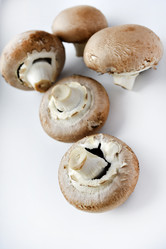 Similar image 21526913