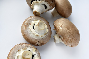 Similar image 21526914