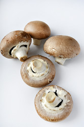 Similar image 21526915