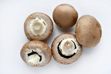 Similar image 21526918