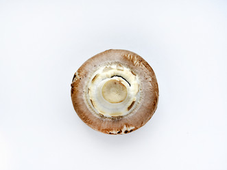 Similar image 21526919