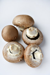 Similar image 21526921