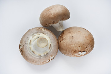 Similar image 21526922