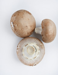 Similar image 21526923