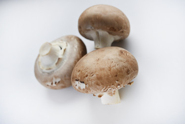 Similar image 21526924