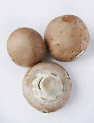 Similar image 21526925