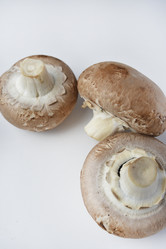 Similar image 21526926