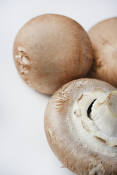 Similar image 21526927