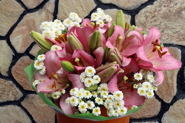 Similar image 21526612